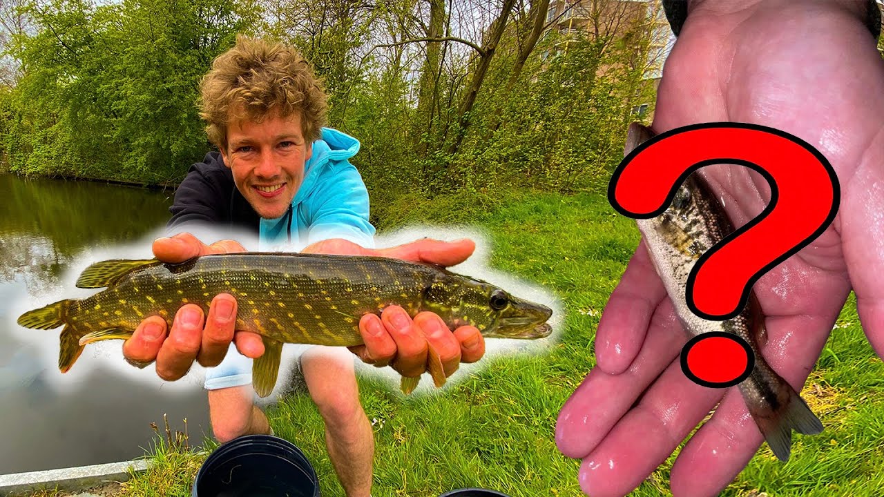AFSCHEID VAN BENNIE + NIEUWE VISSEN VOOR HET AQUARIUM!