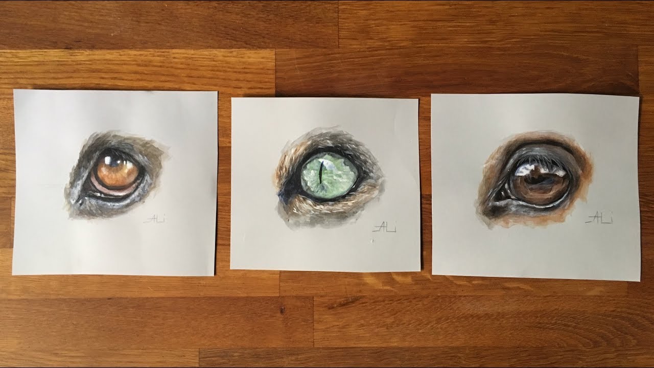 Animal eyes speed painting | acrylic paintings of dog, cat and horse eyes