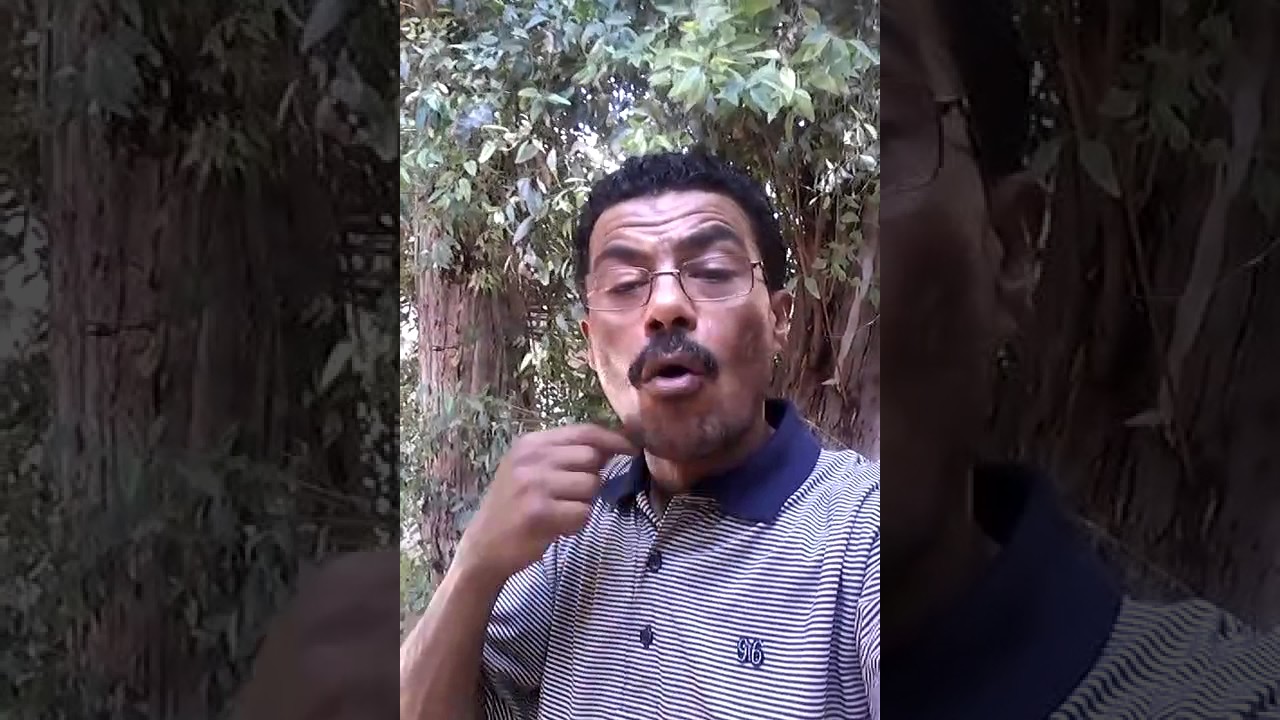 قصة : قابيل وهابيل           (  2  )
                          ---------------
1- اول جريمة قتل 
2-و