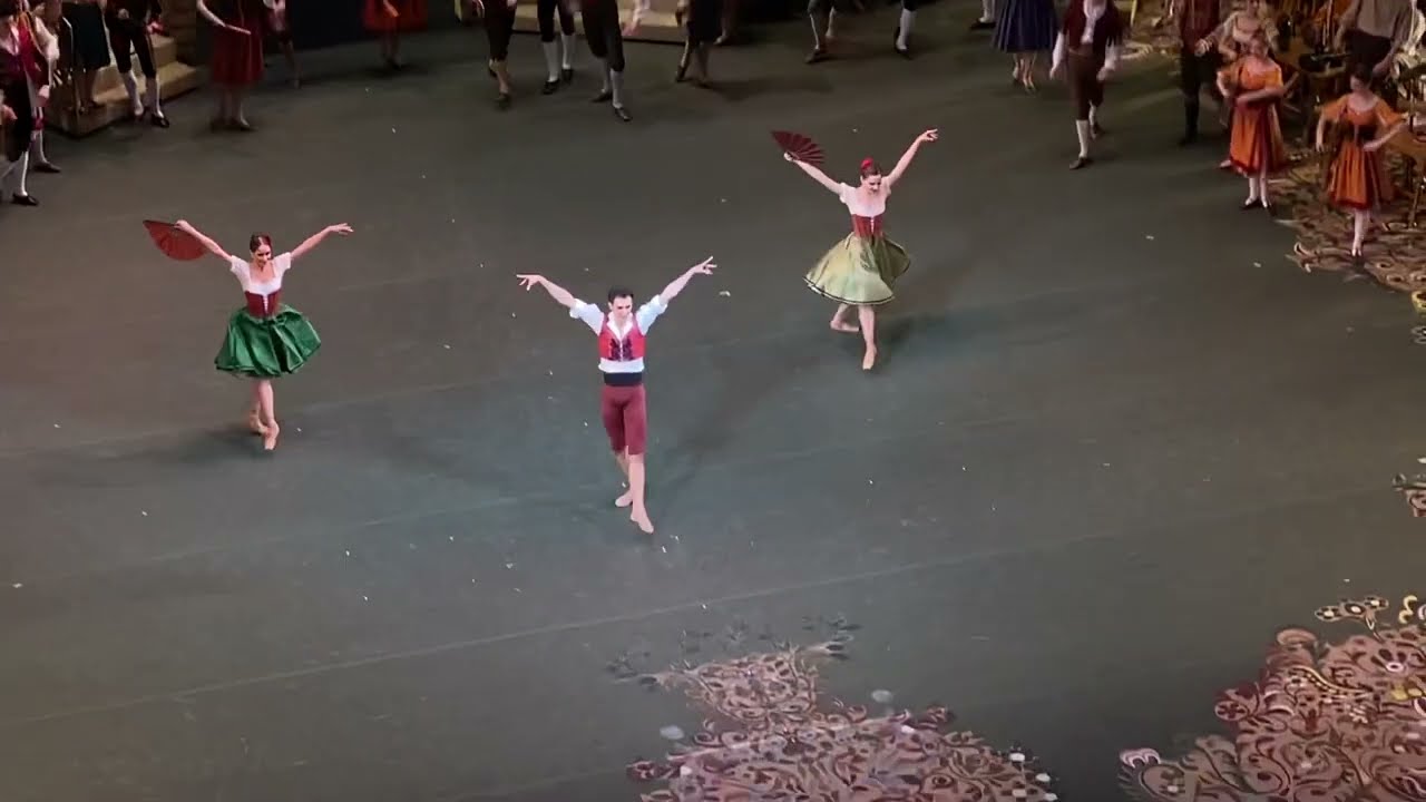 Semyon Chudin Don Quixote Variation I act