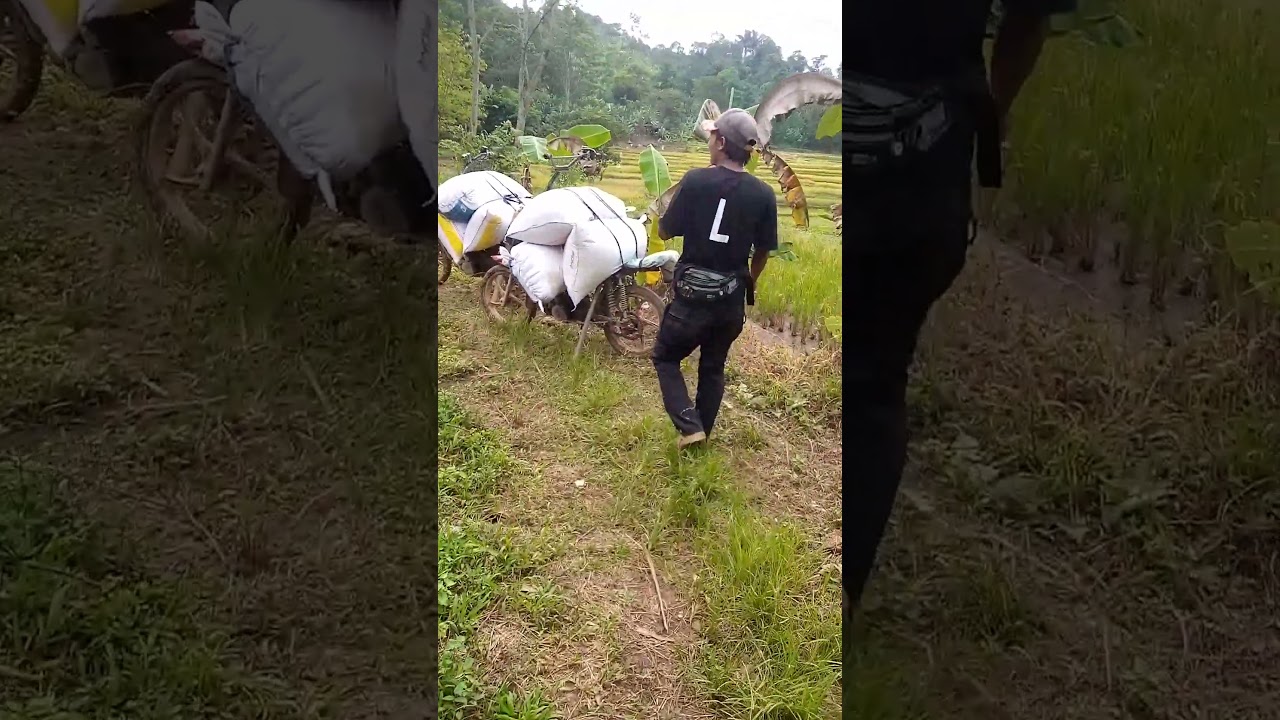 buat beli sampo 