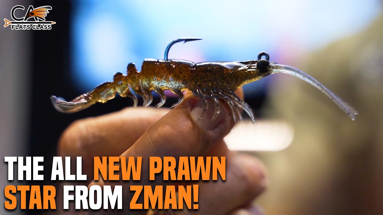 The All New Prawn Star From Zman! | Flats Class YouTube