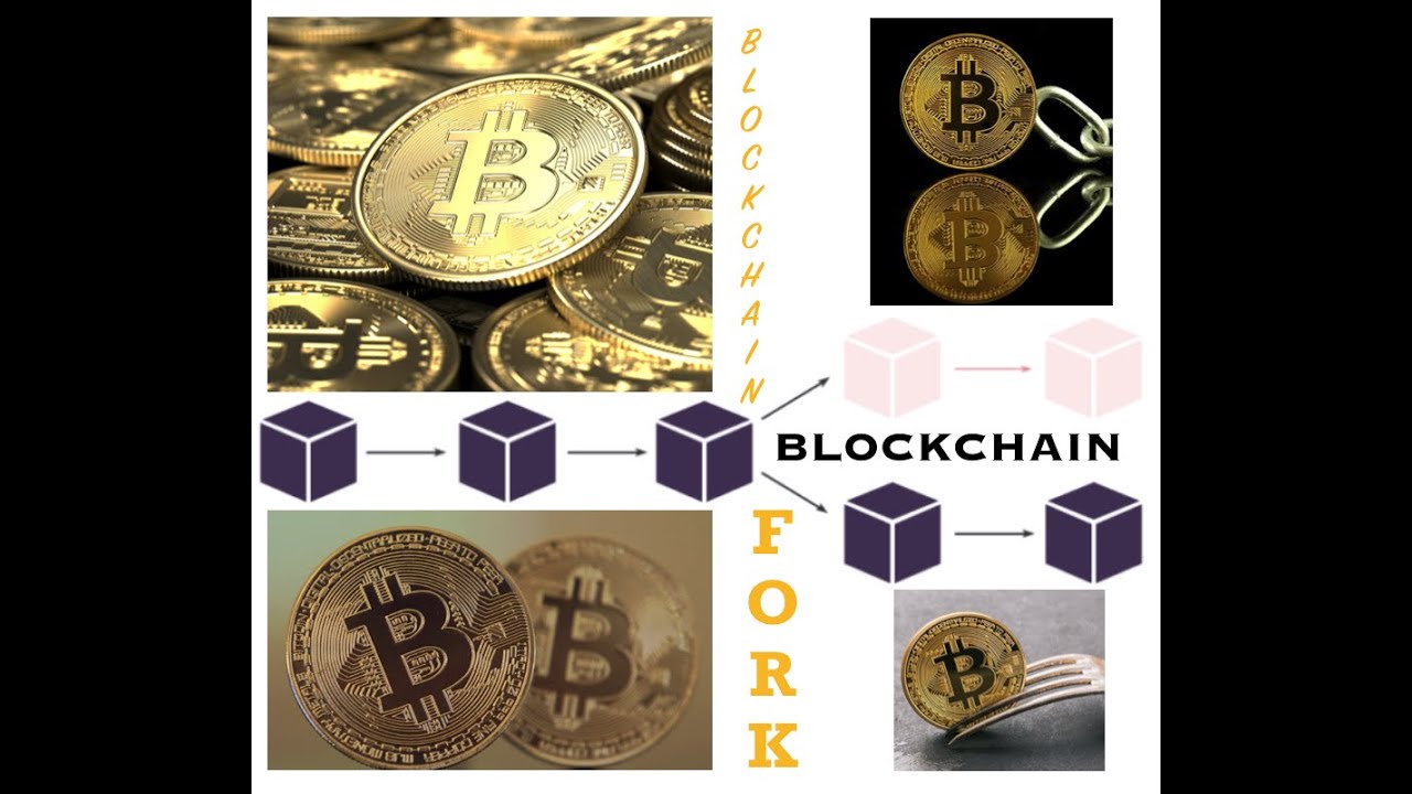 Co to jest Fork (w kryptowalutach)