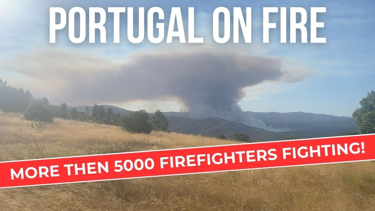 Portugal Wildfires 2024 - Fundao, São Vicente da Beira, Louriçal do Campo and Silvares #105