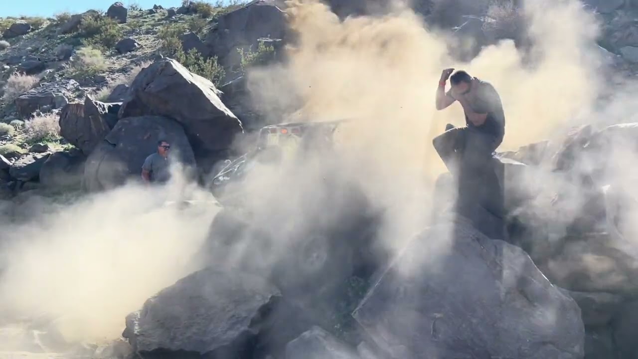 Wasabi does Kings Veto 2026