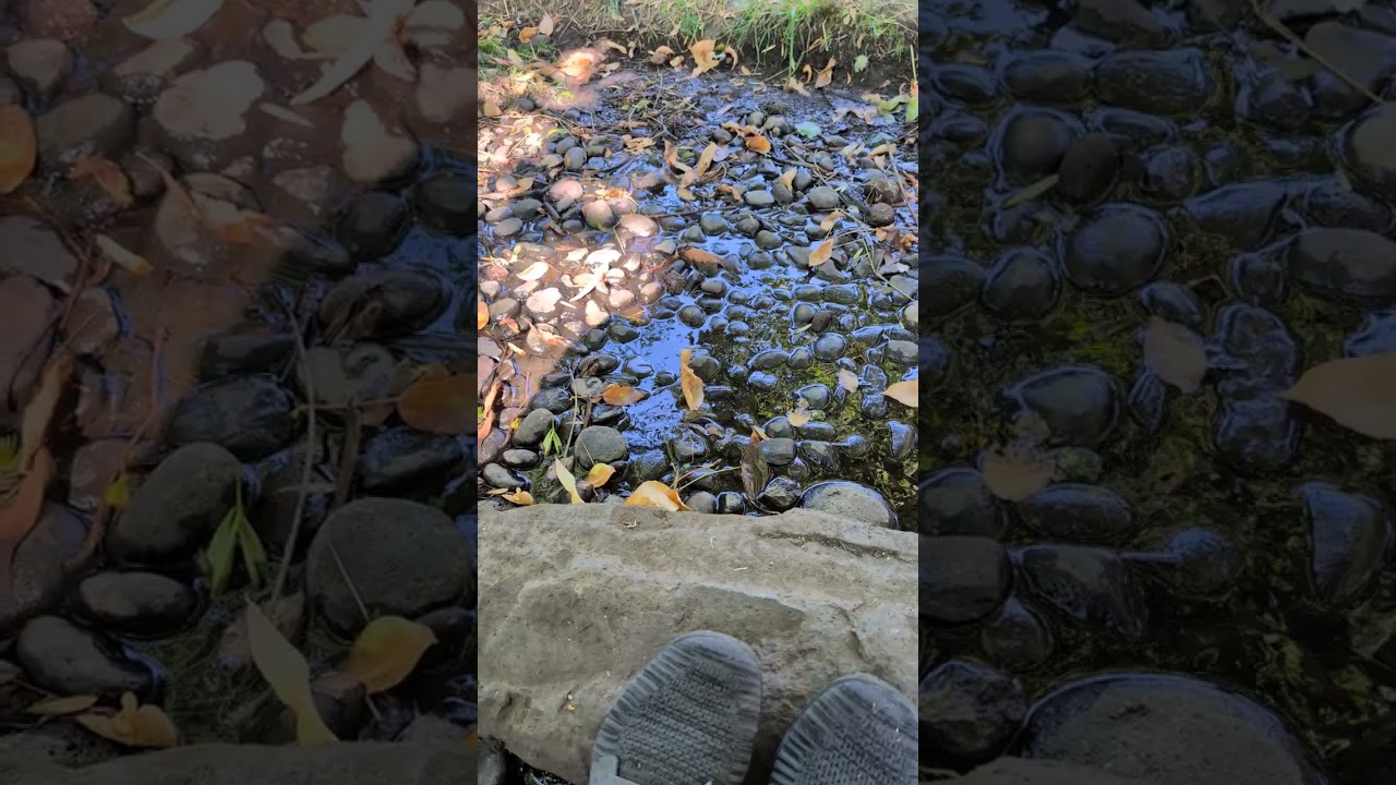 Creek Feet Meditation