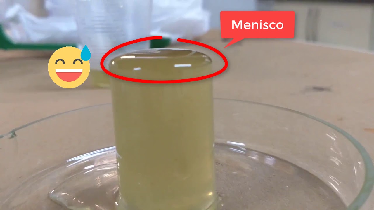 Exames Coproparasitológicos - Método de Willis-Mollay