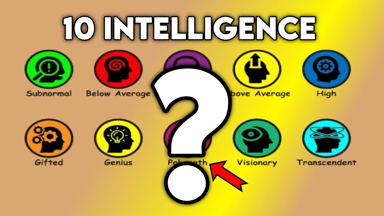 Every Level of Intelligence Explained (IQ, EQ, & More)