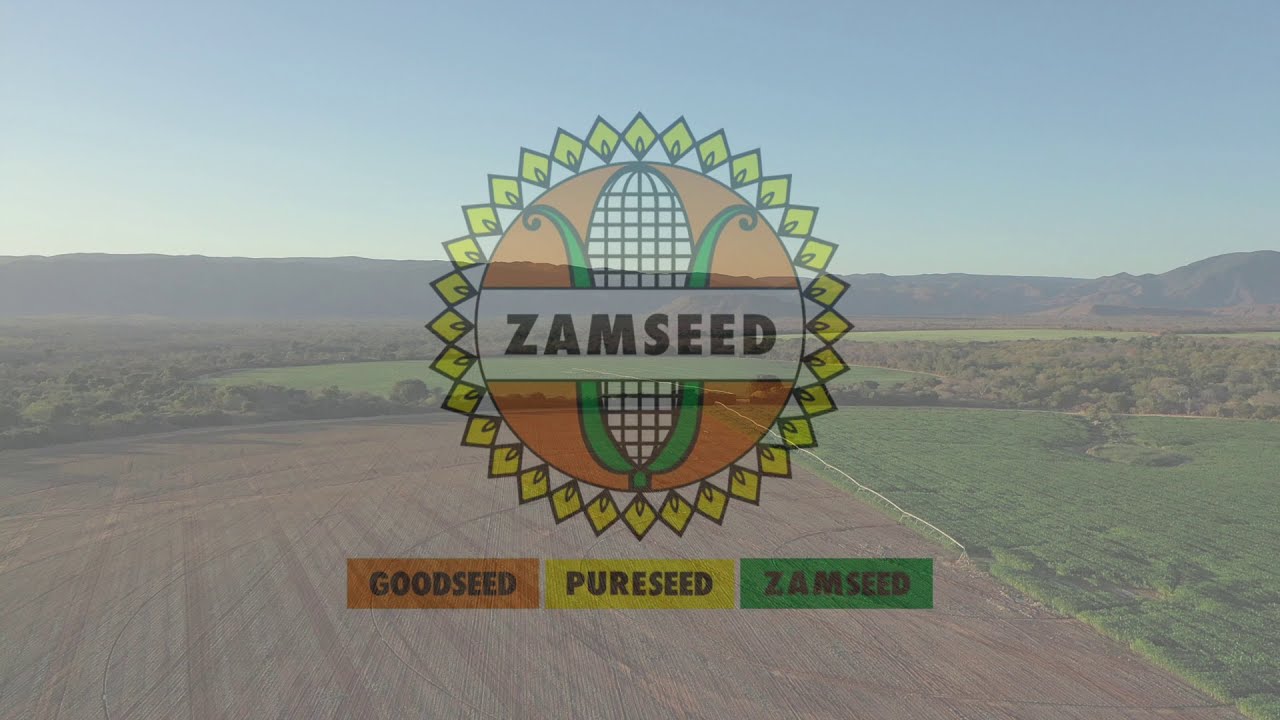 Zamseed - Tiyende Pamodzi