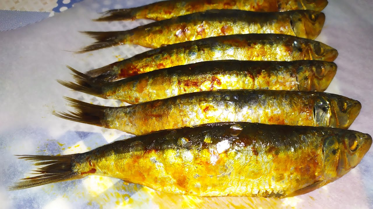 sardinas en salazon arenque