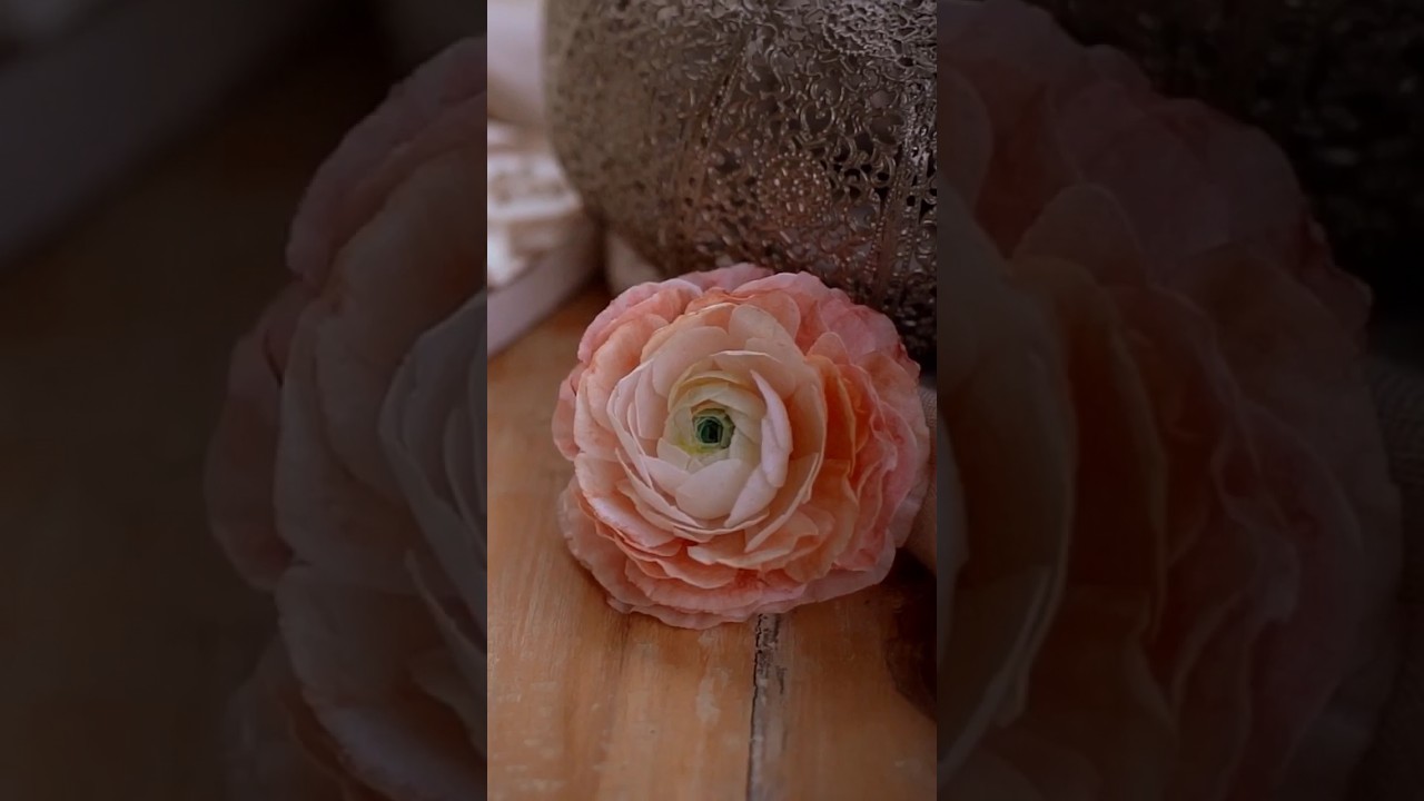 How to Make Edible Wafer Paper Flowers Cake Decoration 💐 Learn #ekatsacademy #waferpaper #shorts