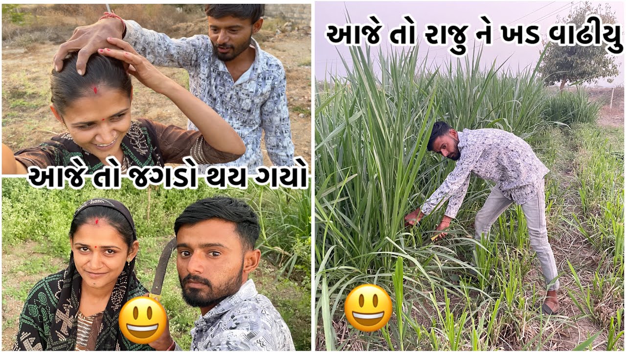 આજે તો રાજુ ને વાઢીયુ વાયઢુ પછી જગડો થય ગયો  #dailyvlog #gujuthings #comedy 