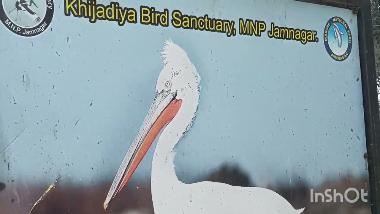 #Khijadiya birds sanctuary,Jamnagar, Gujarat 