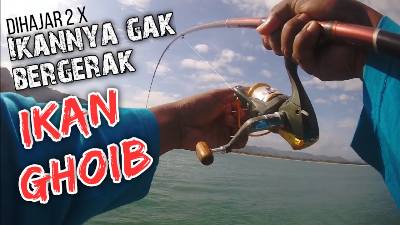 Ikan Ghoib penunggu tanggul dermaga tamperan #mancing #dermaga