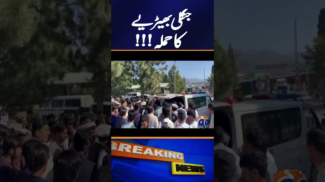 Wild Wolf Attack on Public in Kurram: Details and Aftermath | Geo News