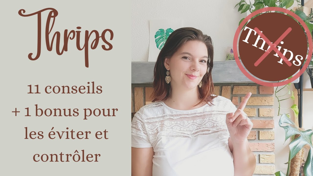 Thrips : 11 conseils pour les éviter et contrôler ( + conseil bonus en fin de vidéo)