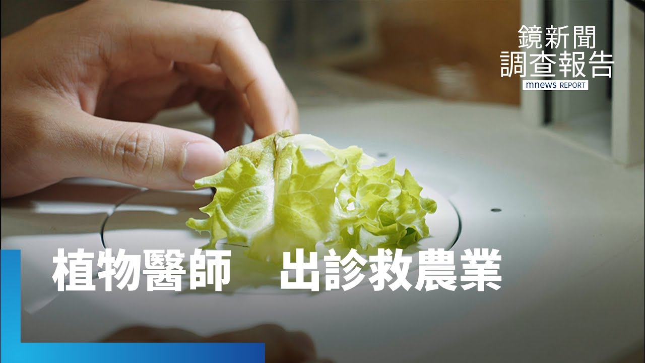 植物醫師替作物開處方、減農藥　為土壤抓病灶顧食安｜來一場土味情話｜鏡新聞調查報告｜