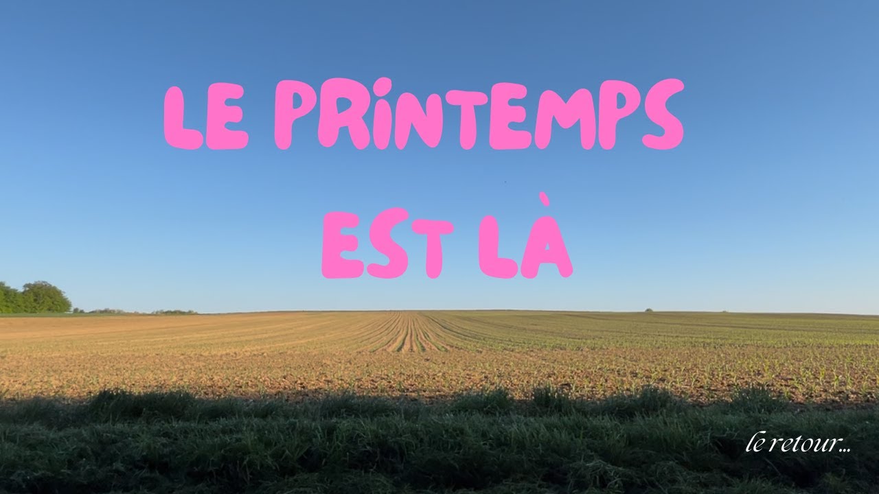 LE RETOUR