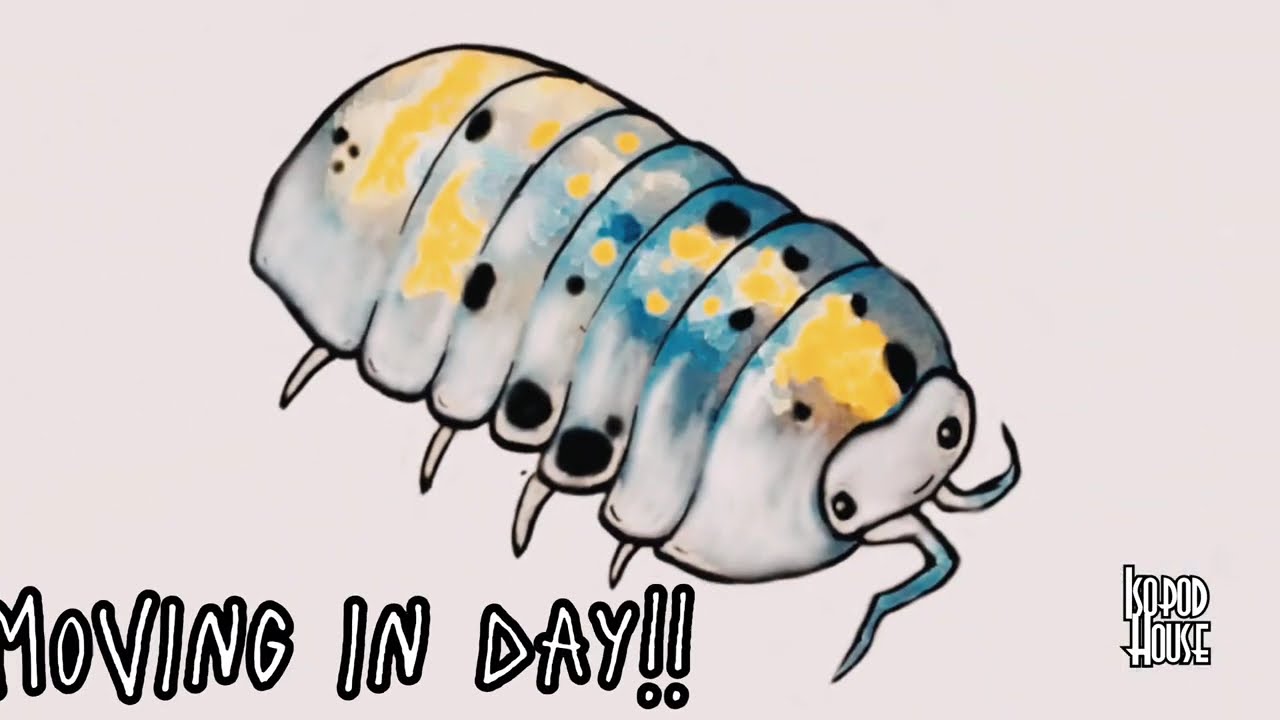 Isopod Unboxing - My first experience with Magic Potions! 