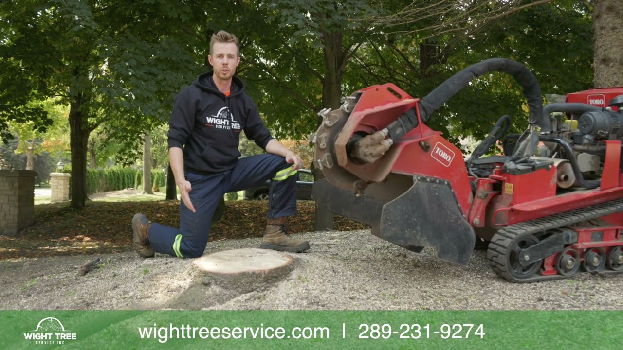 Stump Grinding Services