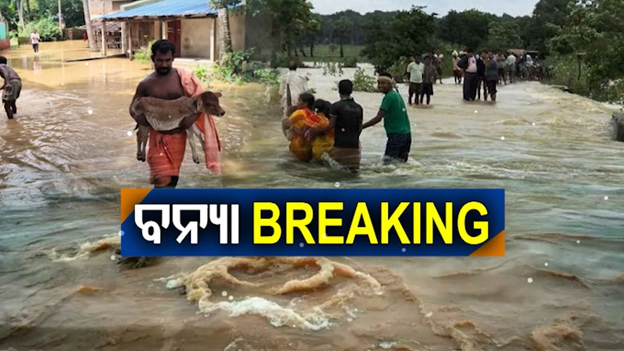 Keonjhar: Coffer Dam Breaches At Kanupur Irrigation Project | Kalinga TV