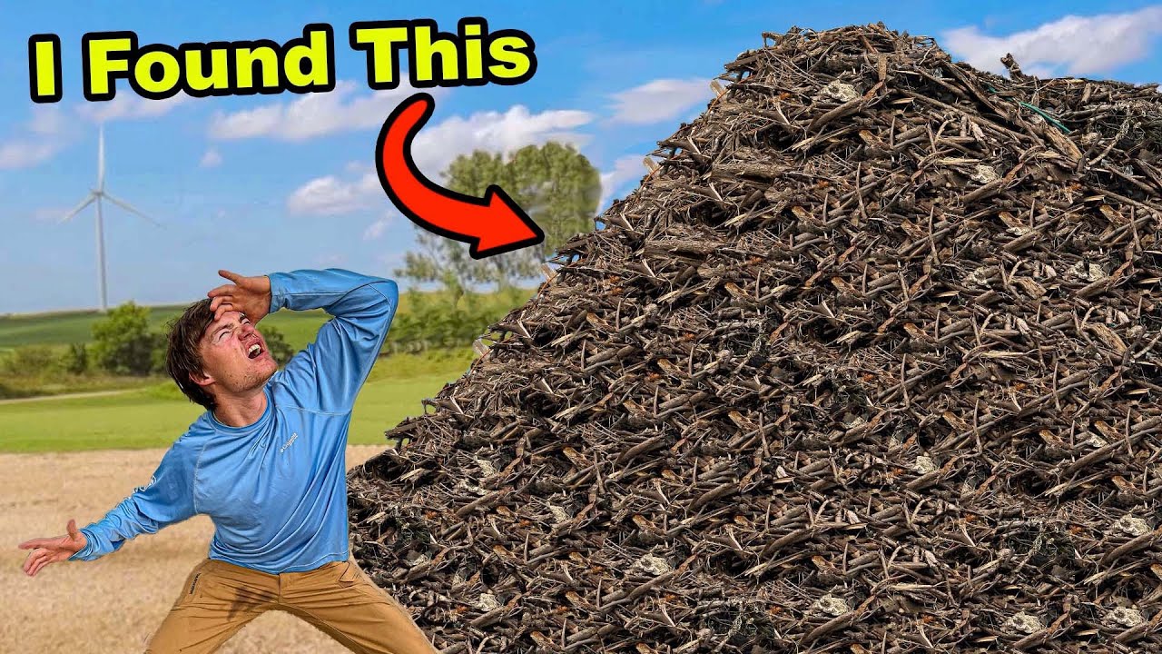 I Spent 96-Hours Clearing An Abandoned Field