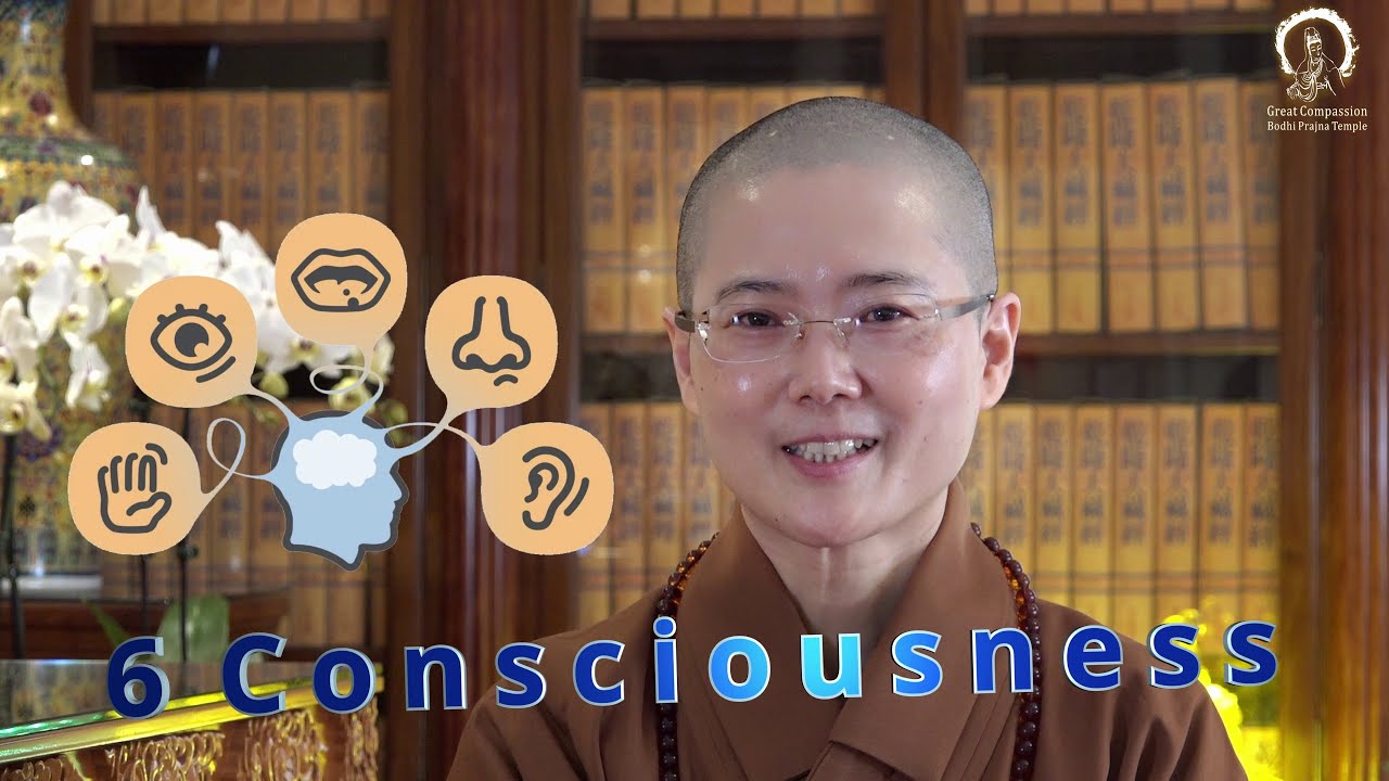 Six Consciousness | Knowing Your Feelings : 5 Senses and Mind | Master Miao Jing 五根與六識  妙淨法師