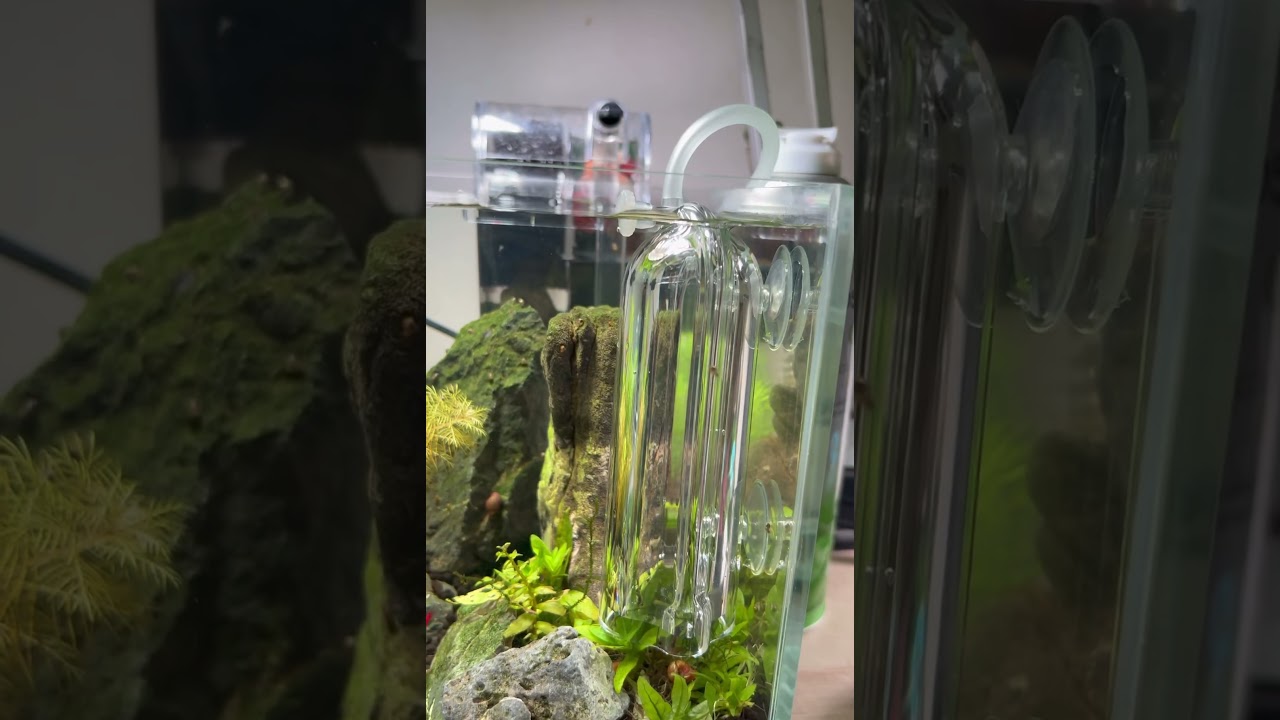 Step-by-Step: Setting Up ISTA CO2 Disposable Can (watch the full video!)