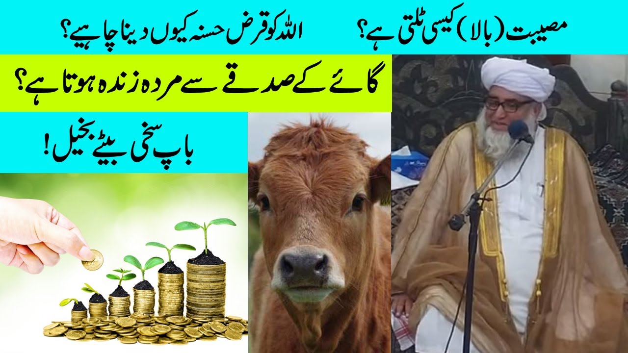 Gai Ka Sadqa: Baap Sakhi Tha, Beti Ne Inkaar Kiya | Mufti Zarwali Khan