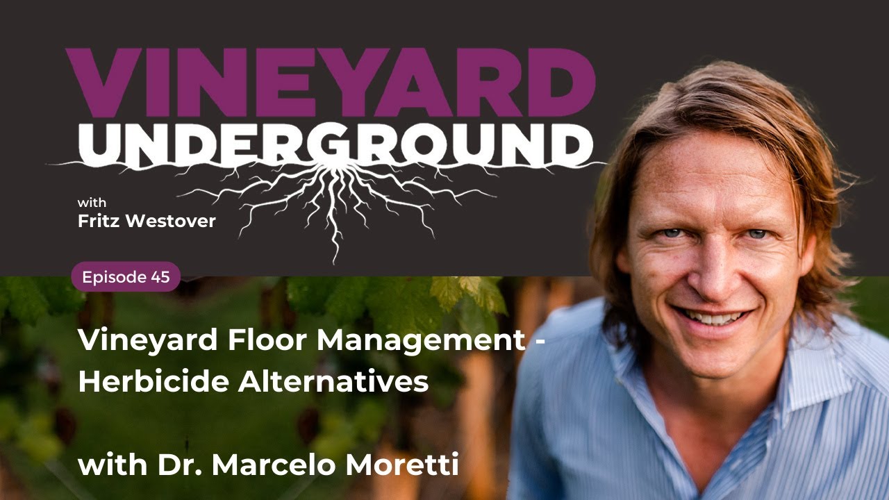 Vineyard Underground Ep45: Vineyard Floor Management - Herbicide Alternatives w/ Dr. Marcelo Moretti