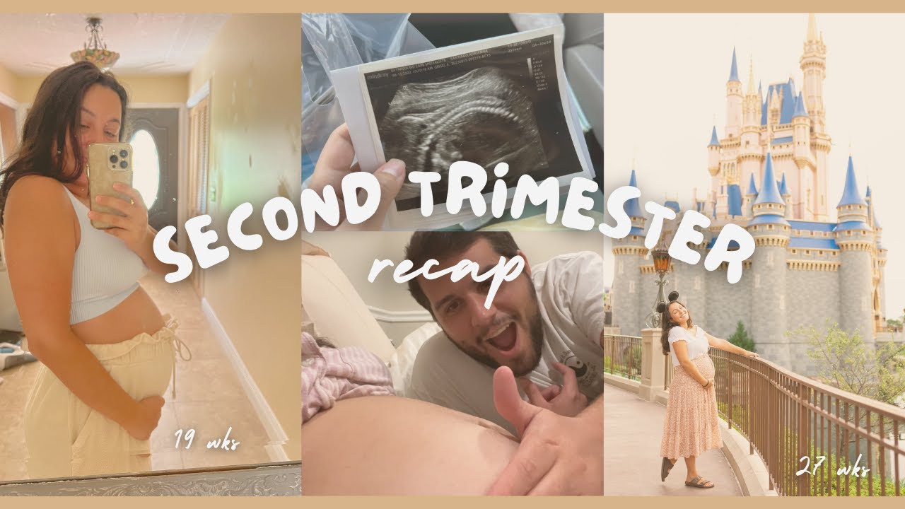 SECOND TRIMESTER RECAP | Symptoms, Anatomy Scan, UTIs, Feeling Baby Move, Placenta Position + More!