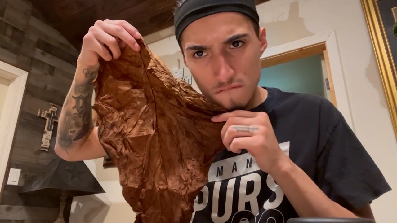 FRONTO LEAF - MY FIRST FRONTO