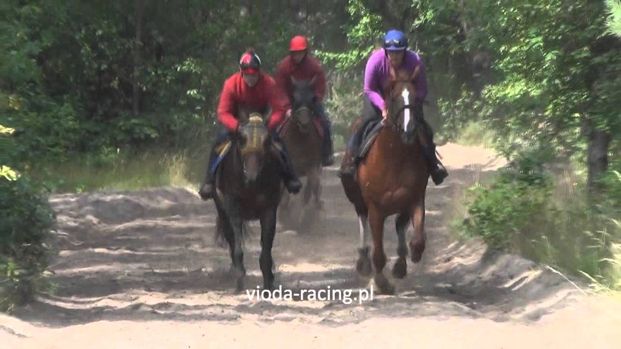 Trening - Stajnia Rosłońce - 28.06.2014