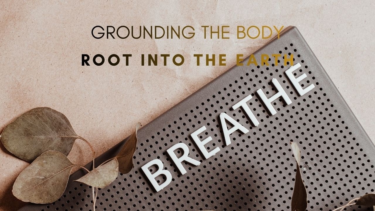 ROOT INTO THE EARTH | SAFETY IN THE BODY MEDITATION
