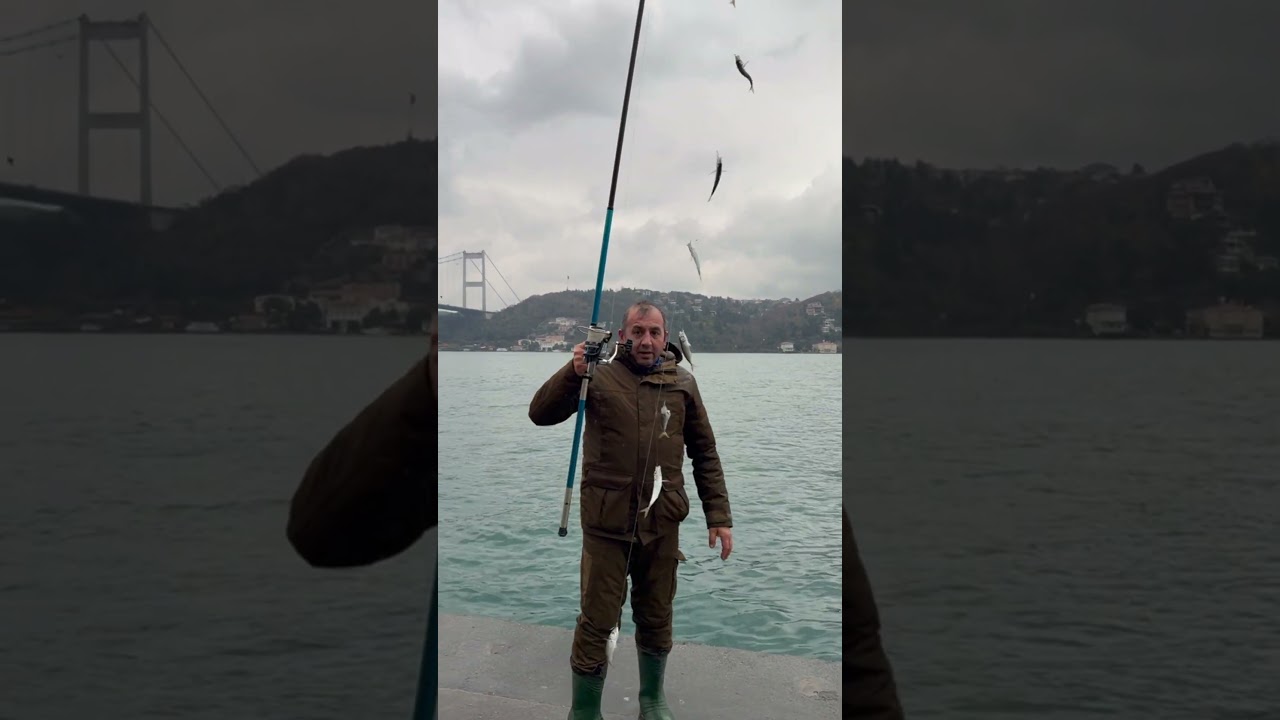 Rumeli Hisarı İstavrit Avı 