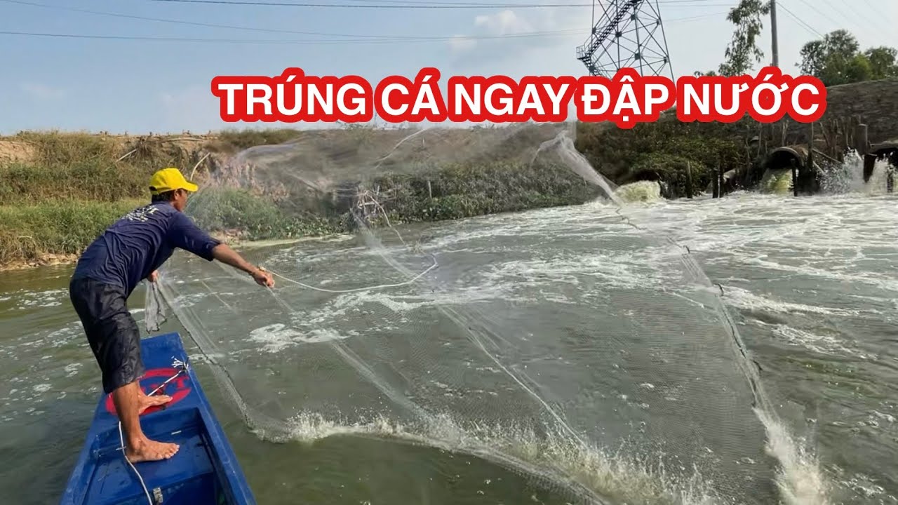 TRÚNG CÁ NGAY ĐẬP NƯỚC CHẢY CUỒN CUỘN • Trải Nghiệm Khi Về Bông Lúa Đồng Tháp