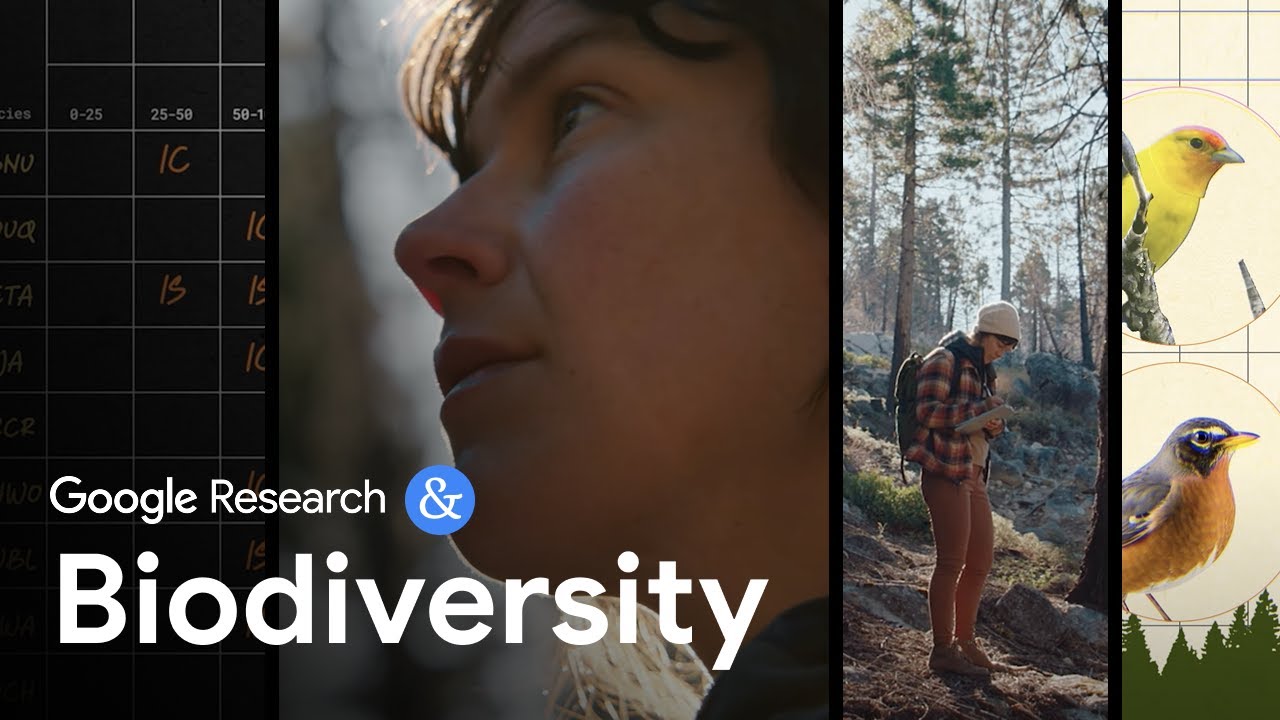 Using AI to study biodiversity