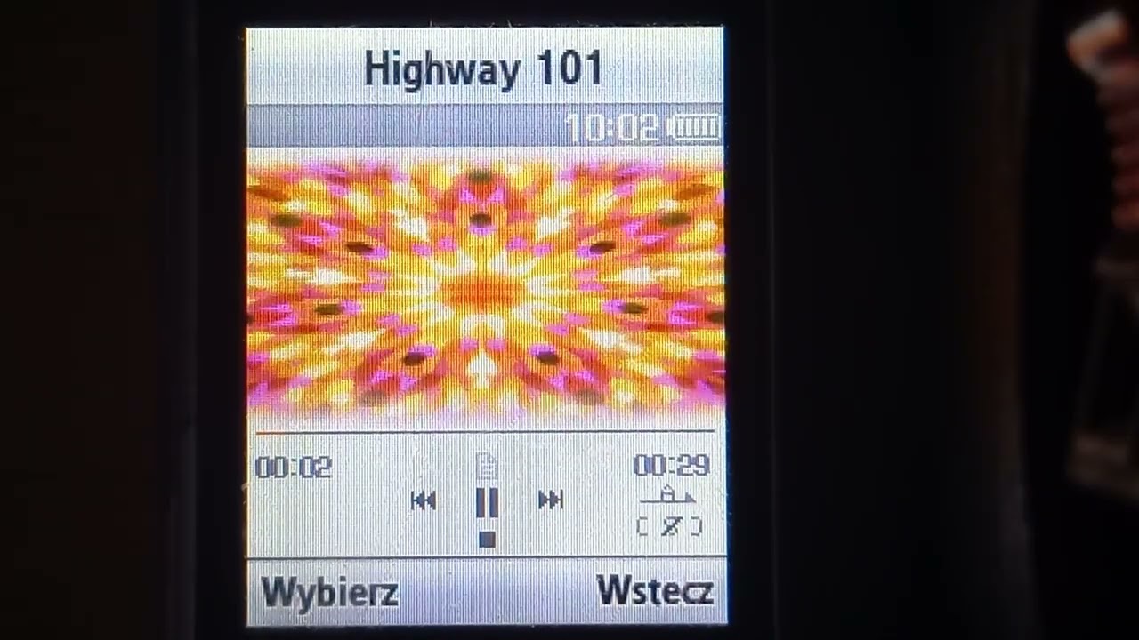 Samsung SGH-L700 - Ringtones and SMS