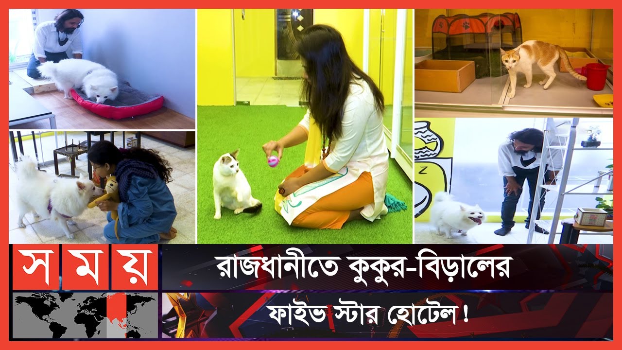 আছে পার্লার, মিউজিক-ক্যাফেও | Furryghor | Animal's Hotel | Mirpur | Somoy TV