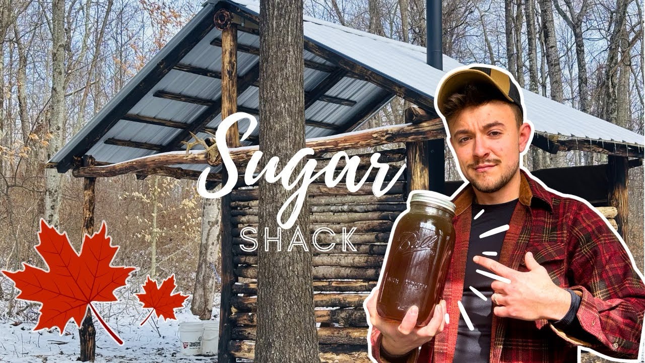 Building a Sugar shack DEEP in the woods (And making Maple Syrup at home!)