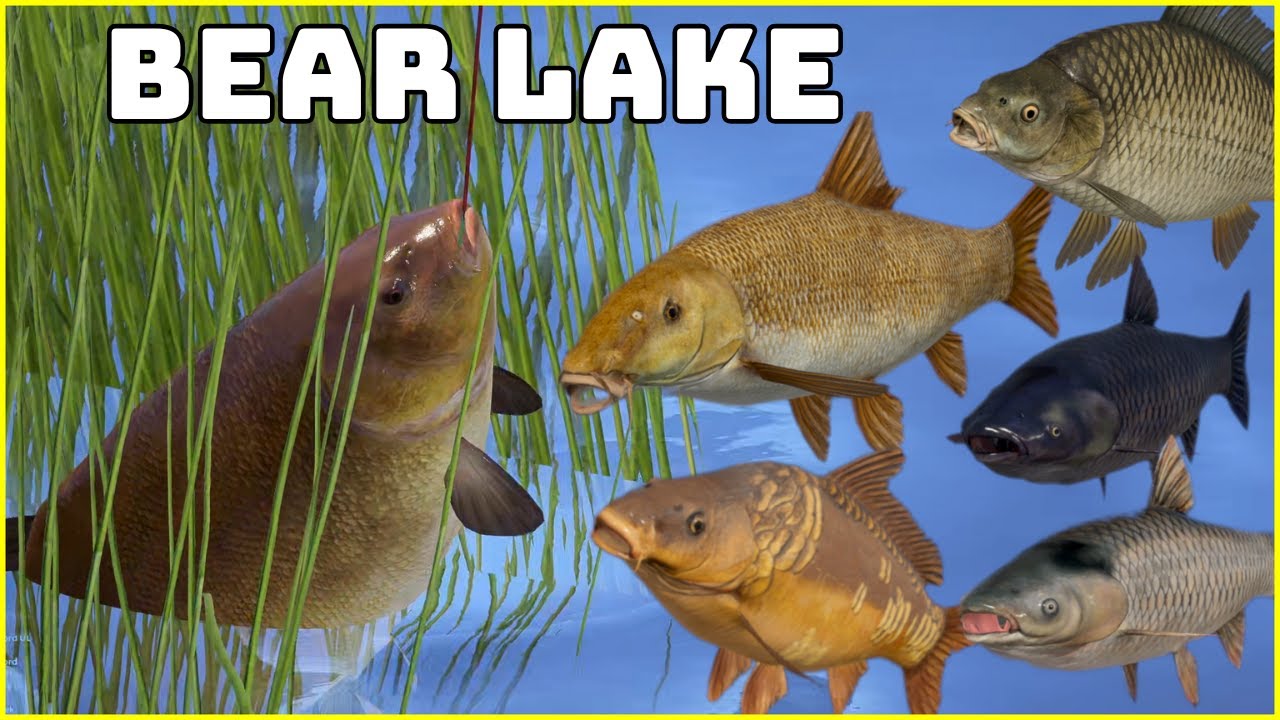 Barbel & Trophy Tench & Carp Bear Lake  | Russian Fishing 4