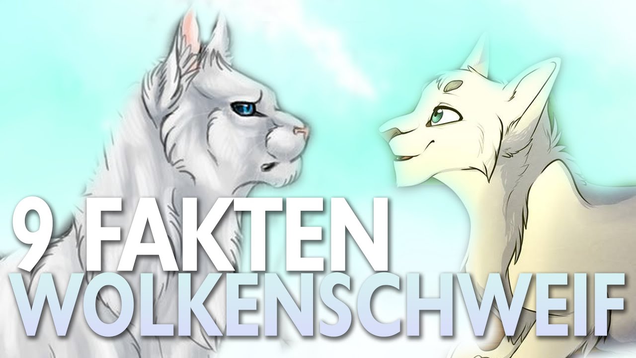 9 Fakten &uuml;ber Wolkenschweif | Warrior Cats Fakten