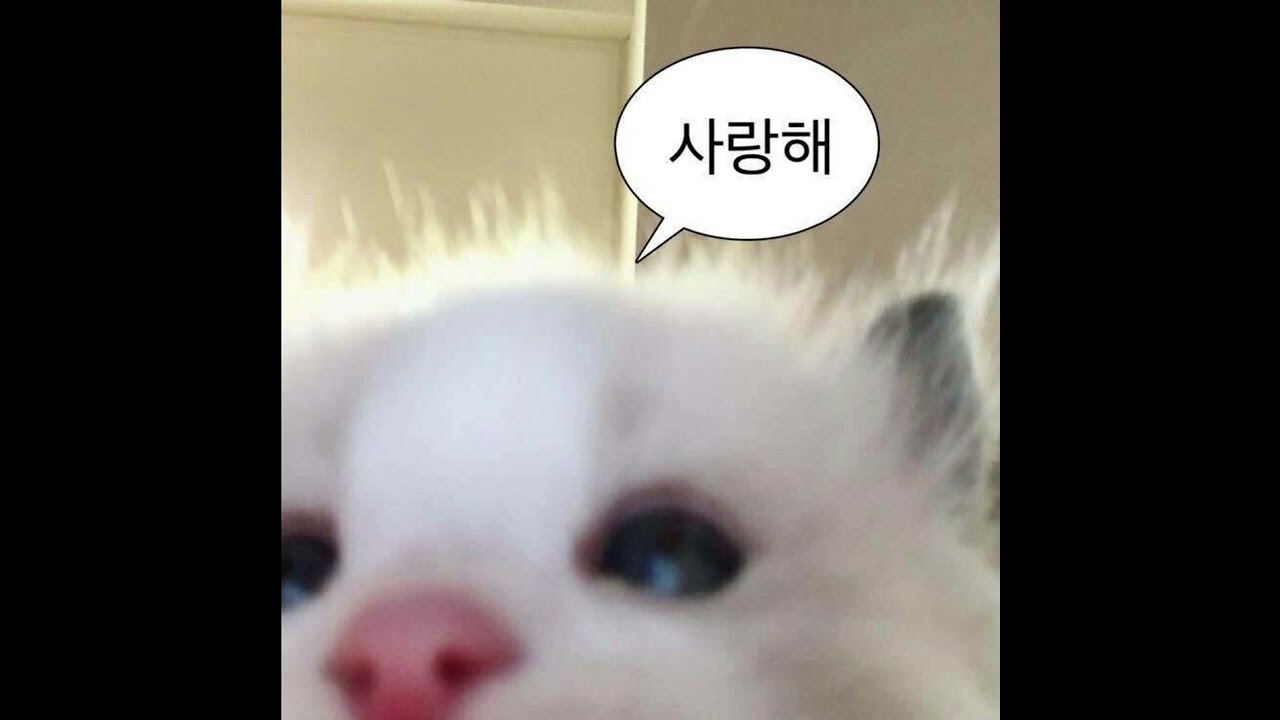 (playlist) 짝사랑 성공하는 플리