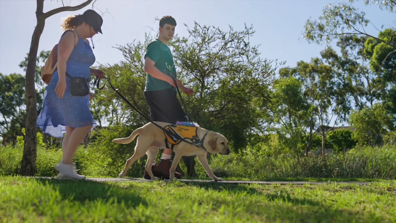 Billy and Assistance Dog Ringer's story