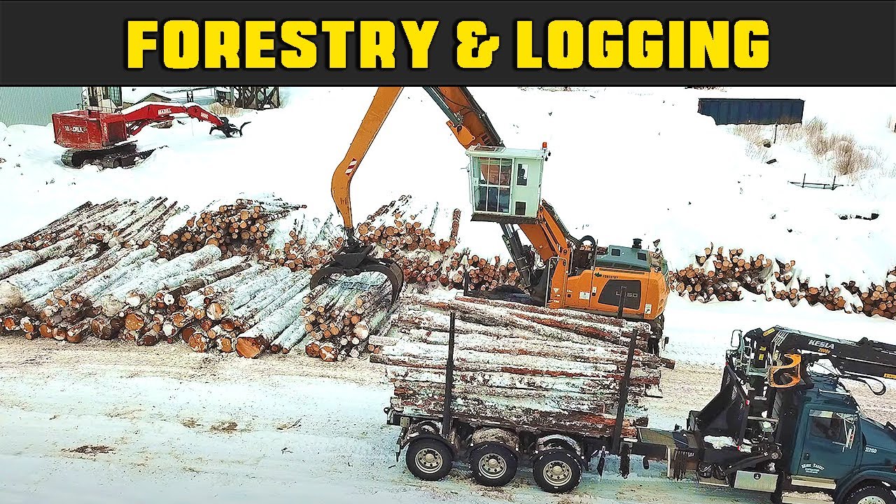 Liebherr LH-50 Unloading Trucks - Real Life Forestry & Logging - FDR Logging