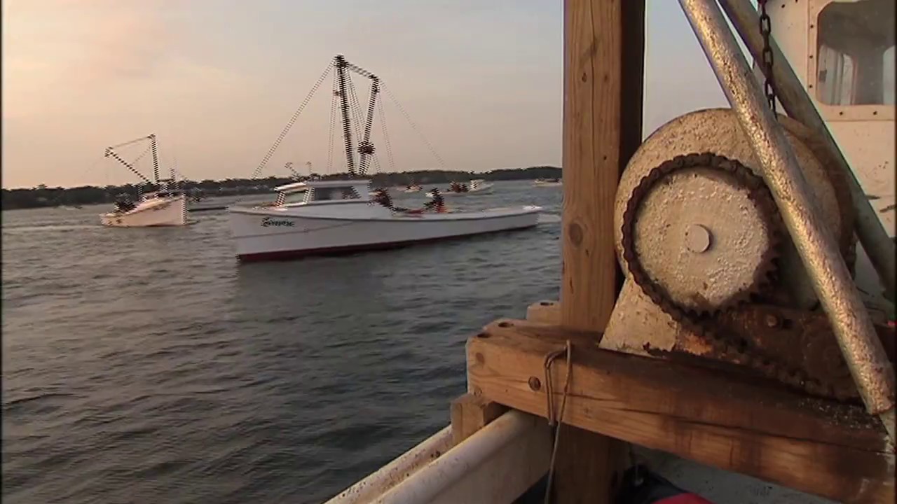 Bumper Boats- Chesapeake Bay OYSTERS
