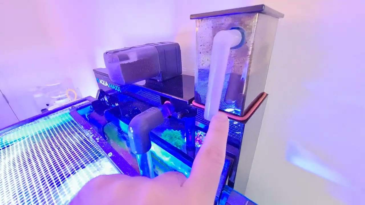 AquaReady HF M Filtration System  Aquamaxx Skimmer