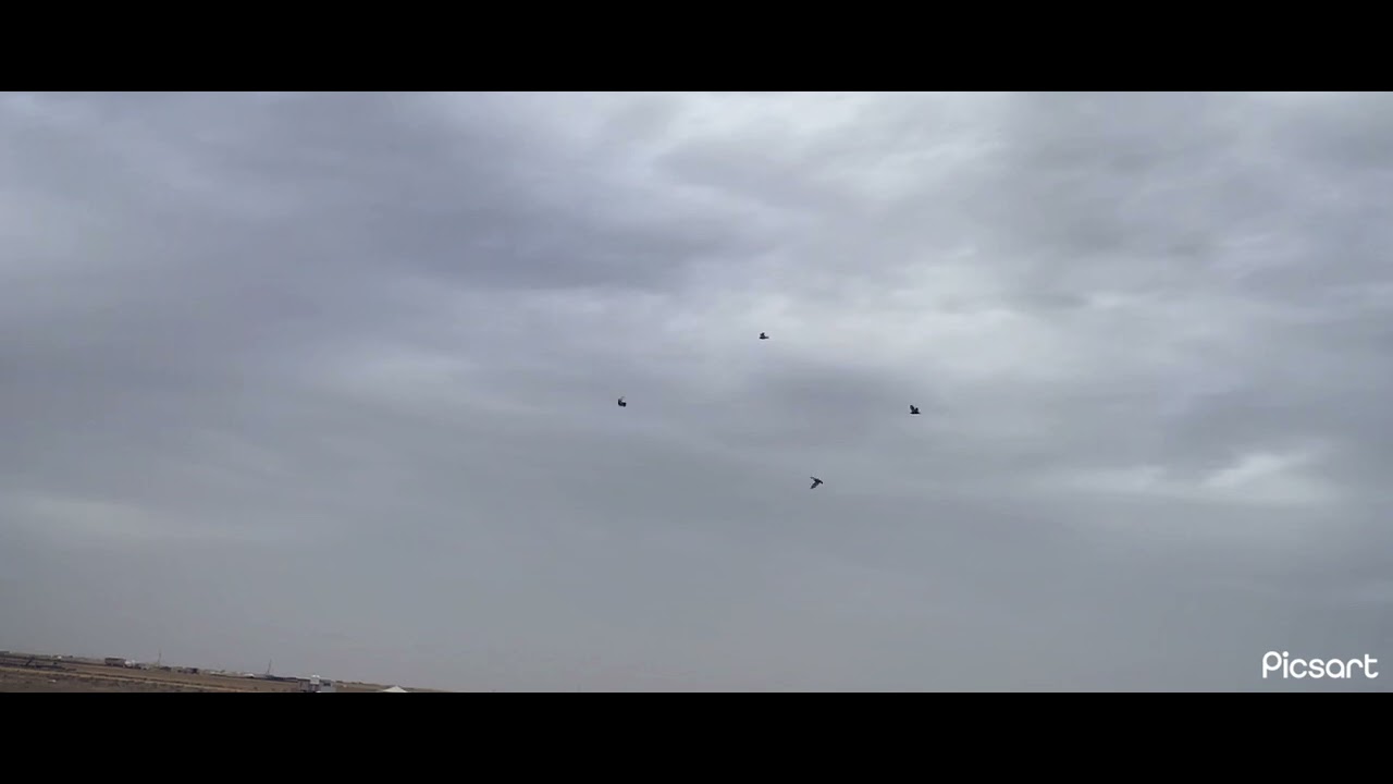 نجمة المشاهير طيرة باسل الحوطي