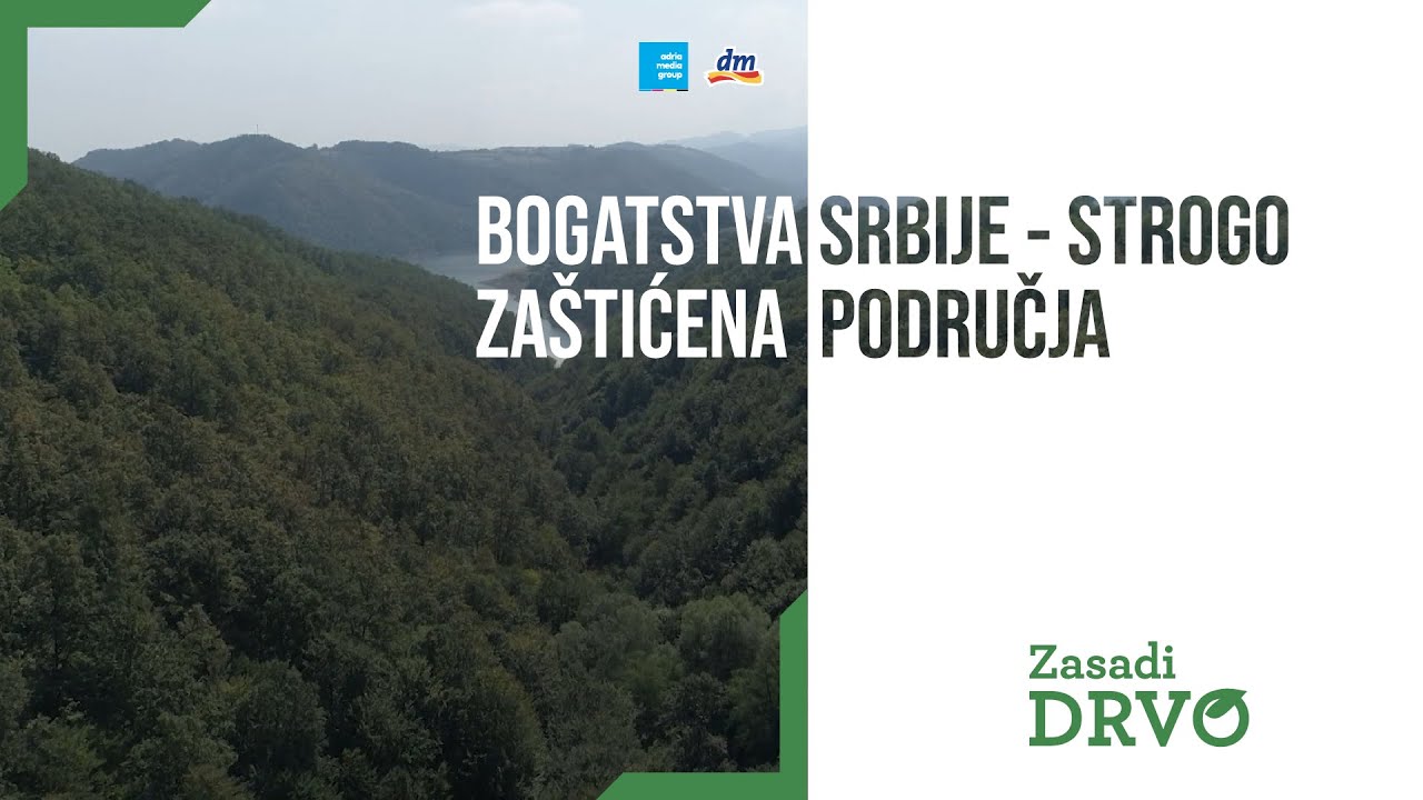 DOKUMENTARNI FILM: BOGATSTVA SRBIJE - STROGO ZAŠTIĆENA PODRUČJA | ZASADI DRVO