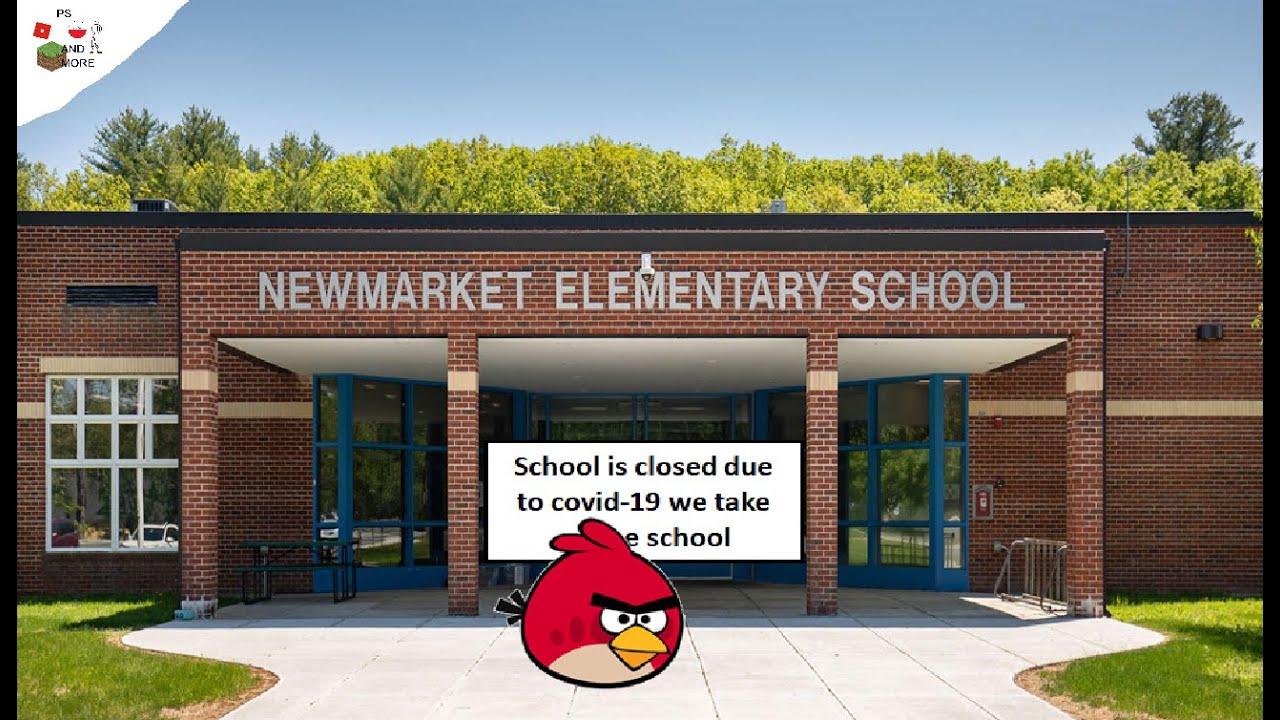 Custom Angry birds Animation:Back to Online School